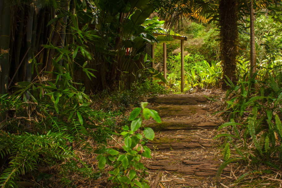 Pond Cabin path