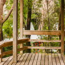 View from the Hilltop Cabin at The Tree House