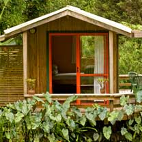 View of the Pond Cabin at The Tree House