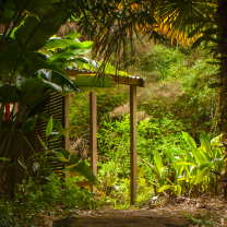 Path to the Pond Cabin at The Tree House